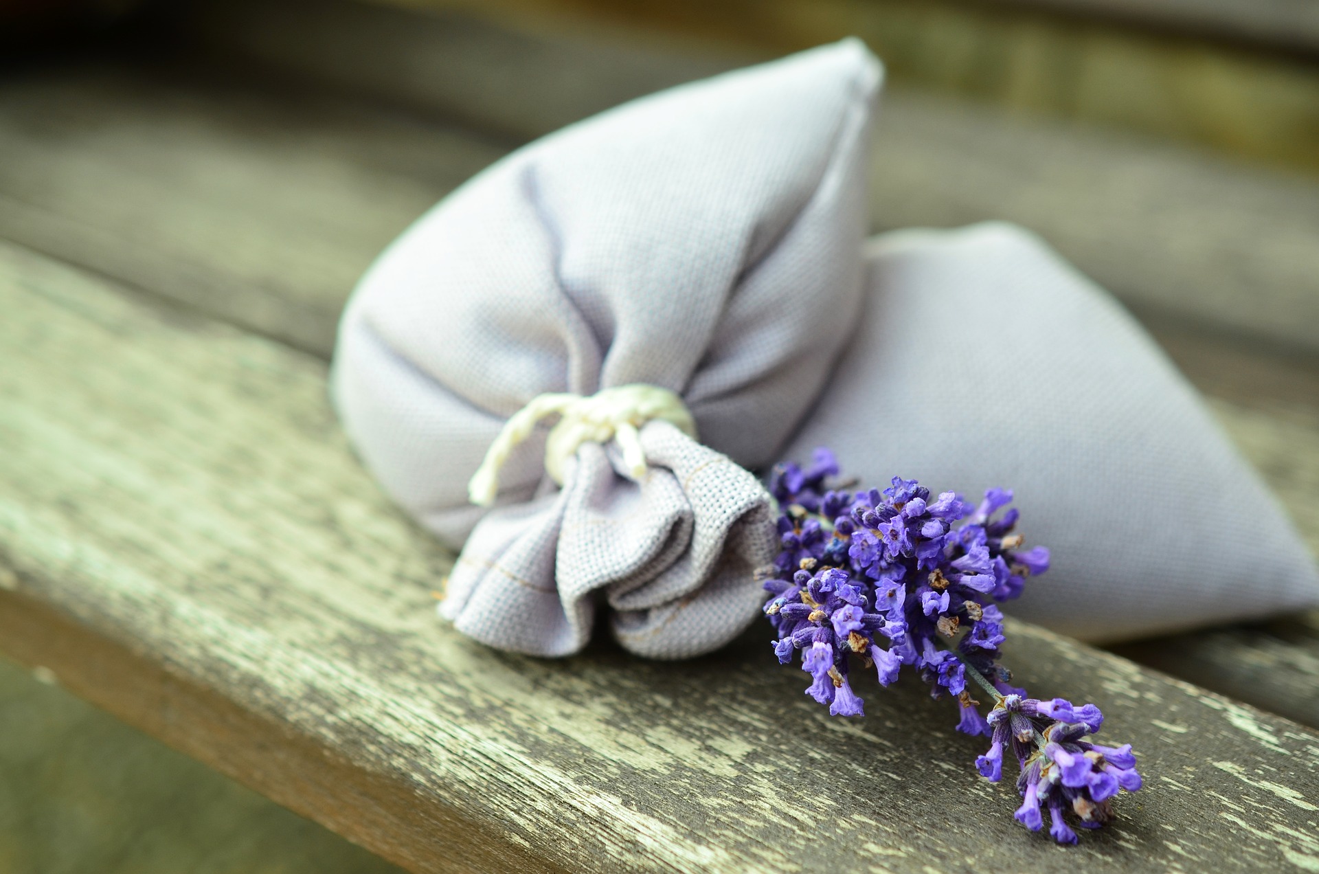 lavender-823584_1920 sachet lavande1